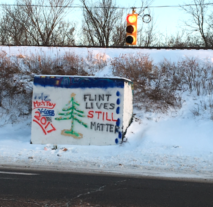 Article_landing_flint_livs_29187
