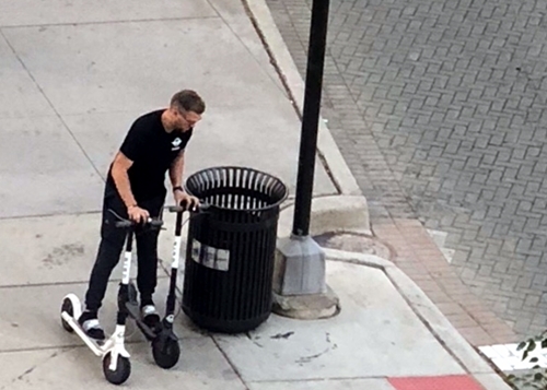 Featured_2_bird_scooters__reddit_user_mike_32050