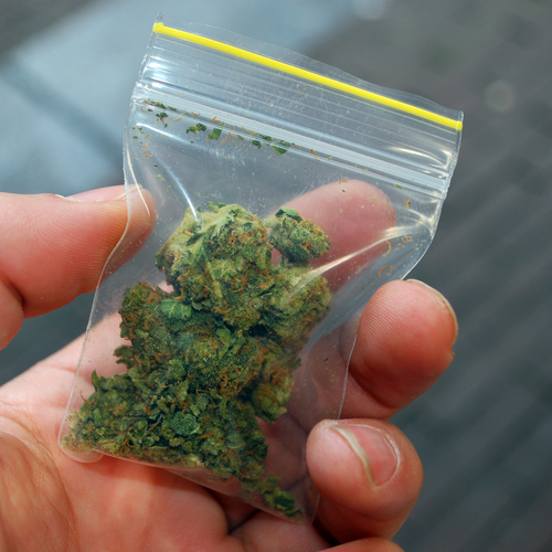 Featured_marijuana_31338
